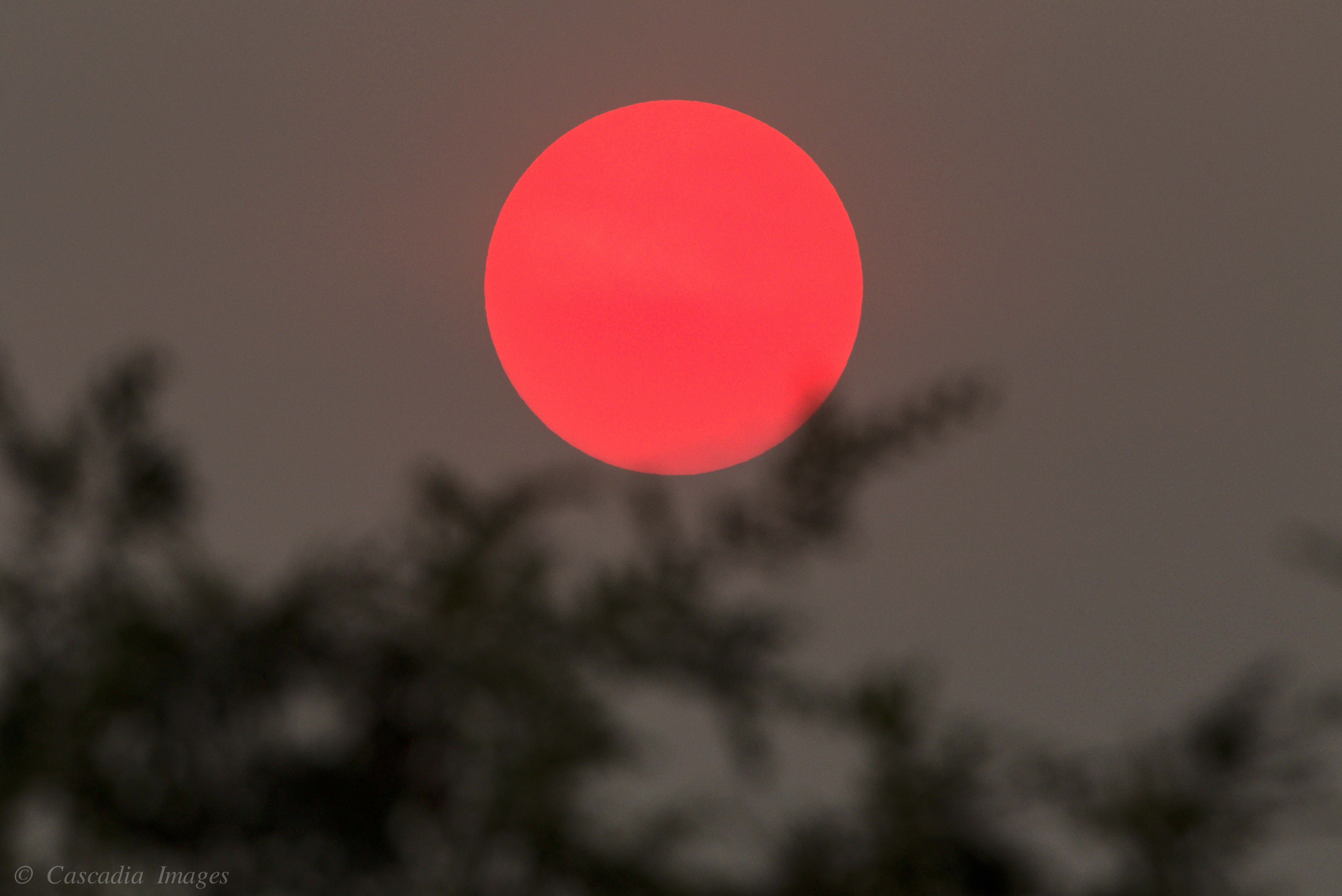 Click image for larger version

Name:	7D2_9739_01.jpg
Views:	105
Size:	3.58 MB
ID:	1003183