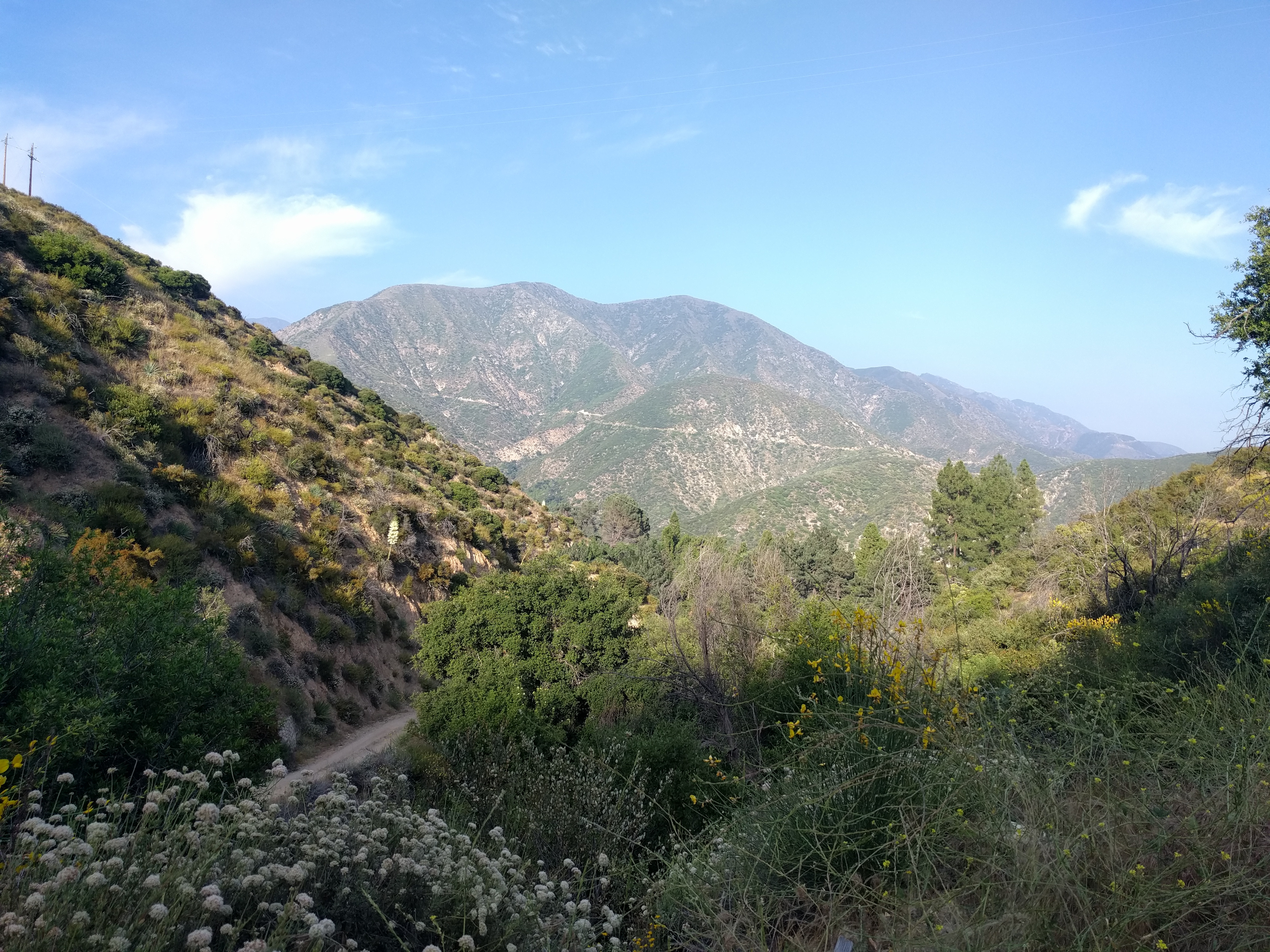 Click image for larger version

Name:	IMG_20190707_180551.jpg
Views:	88
Size:	3.65 MB
ID:	985877