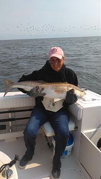 Click image for larger version

Name:	KIMG1025.JPG
Views:	236
Size:	1.47 MB
ID:	1003873