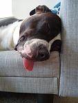 Click image for larger version

Name:	IMG_20200810_112317208.jpg
Views:	335
Size:	2.43 MB
ID:	1001991