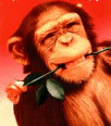 Click image for larger version

Name:	humor102.gif
Views:	295
Size:	11.3 KB
ID:	932584