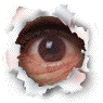 Click image for larger version

Name:	eyeflash.gif
Views:	260
Size:	14.4 KB
ID:	932653