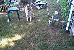 Click image for larger version

Name:	im001273.jpg
Views:	248
Size:	109.4 KB
ID:	932765