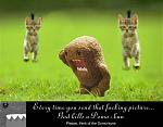 Click image for larger version

Name:	domokun1.jpg
Views:	576
Size:	38.3 KB
ID:	932912