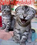 Click image for larger version

Name:	bwahahah.jpg
Views:	202
Size:	63.8 KB
ID:	933138