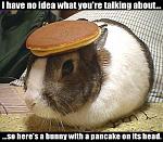 Click image for larger version

Name:	bunny.jpg
Views:	220
Size:	47.5 KB
ID:	933143
