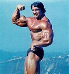 Click image for larger version

Name:	arnold2.jpg
Views:	885
Size:	32.6 KB
ID:	933198