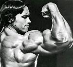 Click image for larger version

Name:	arnold4.jpg
Views:	865
Size:	35.3 KB
ID:	933200