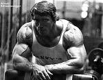 Click image for larger version

Name:	arnold7.jpg
Views:	864
Size:	25.4 KB
ID:	933203
