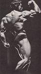 Click image for larger version

Name:	arnold14.jpg
Views:	839
Size:	12.3 KB
ID:	933210
