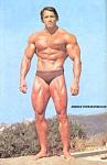 Click image for larger version

Name:	arnold15.jpg
Views:	815
Size:	14.7 KB
ID:	933211