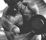 Click image for larger version

Name:	arnold19.jpg
Views:	785
Size:	19.4 KB
ID:	933215