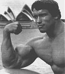 Click image for larger version

Name:	arnold22.jpg
Views:	605
Size:	15.2 KB
ID:	933218