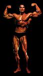 Click image for larger version

Name:	arnold25.jpg
Views:	597
Size:	13.1 KB
ID:	933221