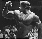 Click image for larger version

Name:	arnold27.jpg
Views:	588
Size:	26.8 KB
ID:	933223