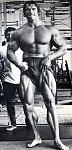 Click image for larger version

Name:	arnoldlegs.jpg
Views:	588
Size:	22.7 KB
ID:	933224
