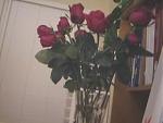 Click image for larger version

Name:	roses.jpg
Views:	221
Size:	26.8 KB
ID:	933251