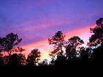 Click image for larger version

Name:	sunset2-10-05-03.jpg
Views:	269
Size:	52.2 KB
ID:	933339