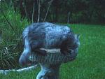 Click image for larger version

Name:	gavonebirdbath.jpg
Views:	208
Size:	38.2 KB
ID:	933528