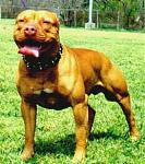 Click image for larger version

Name:	tyson_2.jpg
Views:	256
Size:	24.6 KB
ID:	933669