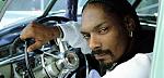 Click image for larger version

Name:	snoop.jpg
Views:	261
Size:	20.3 KB
ID:	933670
