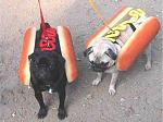 Click image for larger version

Name:	2hotdogs.jpg
Views:	263
Size:	27.7 KB
ID:	933749