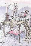 Click image for larger version

Name:	hangman.jpg
Views:	248
Size:	47.9 KB
ID:	933854