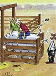 Click image for larger version

Name:	rodeo.jpg
Views:	231
Size:	115.4 KB
ID:	933855