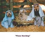 Click image for larger version

Name:	cj_143031.jpg
Views:	216
Size:	37.0 KB
ID:	933938