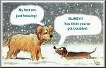 Click image for larger version

Name:	3.jpg
Views:	199
Size:	22.9 KB
ID:	933971