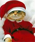 Click image for larger version

Name:	santa_claws.jpg
Views:	187
Size:	8.3 KB
ID:	933984