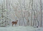 Click image for larger version

Name:	ilussion8.jpg
Views:	256
Size:	34.8 KB
ID:	933992