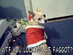 Click image for larger version

Name:	faggotdogwhatlooking.jpg
Views:	232
Size:	19.9 KB
ID:	934127