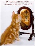 Click image for larger version

Name:	selfesteem.jpg
Views:	298
Size:	15.4 KB
ID:	934208