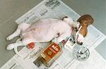 Click image for larger version

Name:	post-10-72265-whatyourdogdoeswhenyou_re.jpg
Views:	321
Size:	53.7 KB
ID:	934209