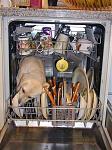 Click image for larger version

Name:	1dogshehe.jpg
Views:	231
Size:	70.1 KB
ID:	934582