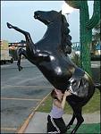 Click image for larger version

Name:	tourist4.jpg
Views:	253
Size:	13.2 KB
ID:	934596