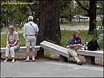 Click image for larger version

Name:	pic08365.jpg
Views:	356
Size:	30.6 KB
ID:	934650