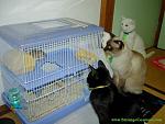 Click image for larger version

Name:	pic17578.jpg
Views:	361
Size:	31.6 KB
ID:	934651