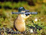 Click image for larger version

Name:	beaverwars.jpg
Views:	247
Size:	21.6 KB
ID:	934654