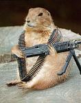 Click image for larger version

Name:	chippy.jpg
Views:	230
Size:	36.2 KB
ID:	934722