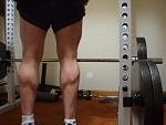 Click image for larger version

Name:	calves.jpg
Views:	867
Size:	39.2 KB
ID:	934836