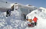 Click image for larger version

Name:	1snow251-med.jpg
Views:	375
Size:	34.9 KB
ID:	934839