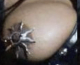 Click image for larger version

Name:	janettit.gif
Views:	270
Size:	10.7 KB
ID:	934849