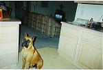 Click image for larger version

Name:	my pictures.jpg
Views:	223
Size:	50.6 KB
ID:	934880
