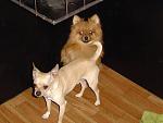 Click image for larger version

Name:	dsc00978.jpg
Views:	752
Size:	733.3 KB
ID:	934896