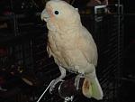 Click image for larger version

Name:	dsc00966.jpg
Views:	643
Size:	147.8 KB
ID:	934899