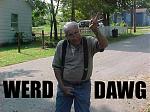 Click image for larger version

Name:	1werd.jpg
Views:	266
Size:	49.1 KB
ID:	935035