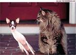 Click image for larger version

Name:	17fevdr029.jpg
Views:	261
Size:	29.2 KB
ID:	935117