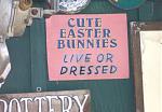 Click image for larger version

Name:	5551easter_bunnies.jpg
Views:	320
Size:	28.8 KB
ID:	935204